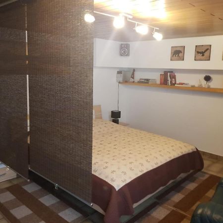 Gemuetliche Ferienwohnung Mit Kamin Und Sauna! Nistertal Eksteriør bilde