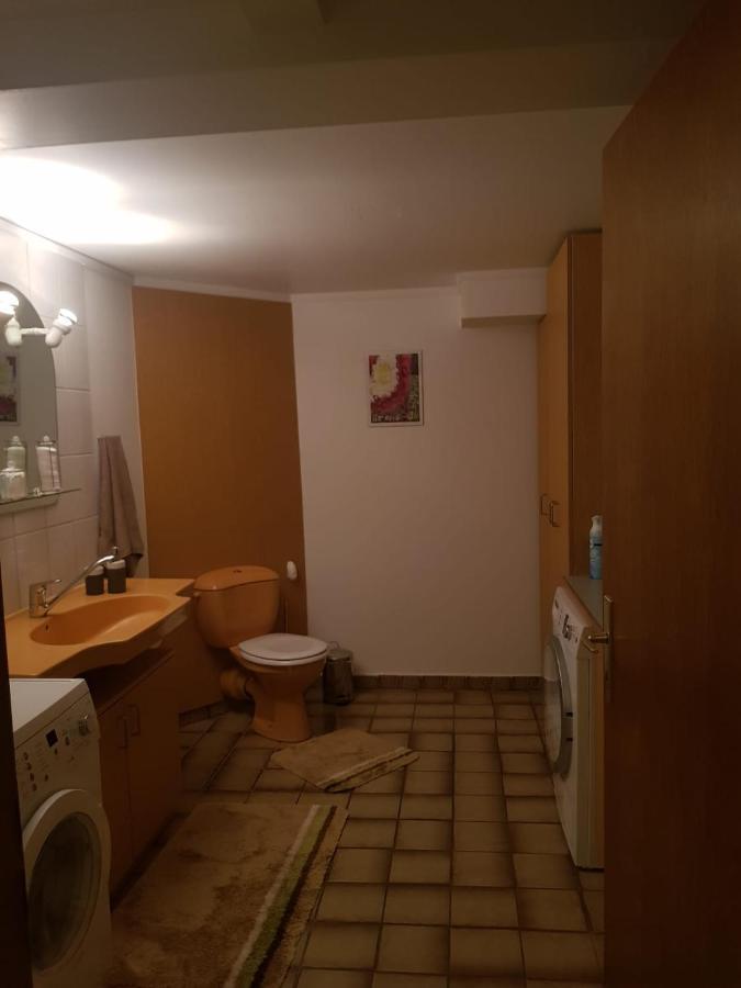 Gemuetliche Ferienwohnung Mit Kamin Und Sauna! Nistertal Eksteriør bilde