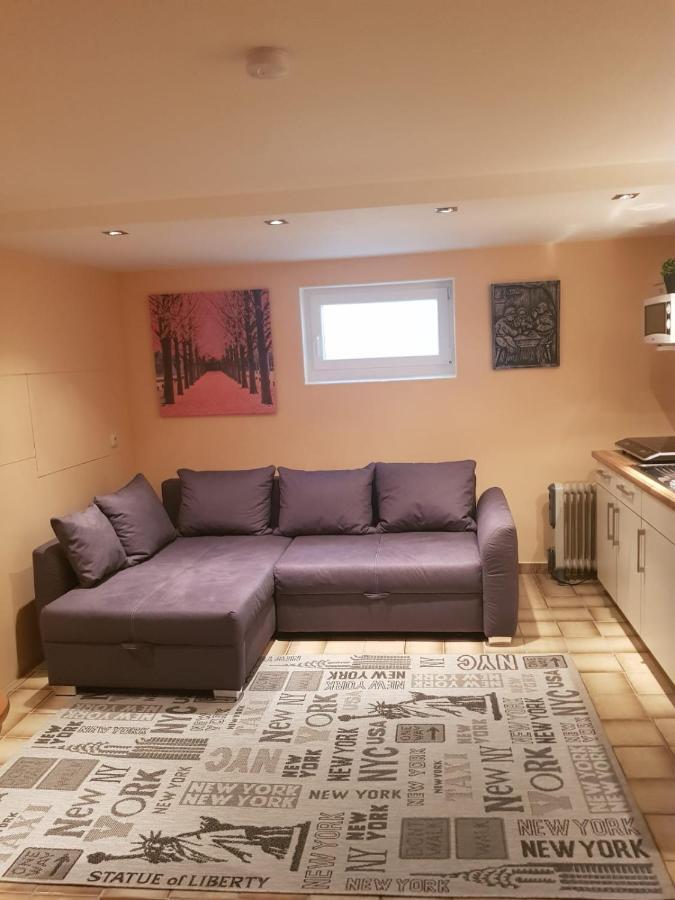 Gemuetliche Ferienwohnung Mit Kamin Und Sauna! Nistertal Eksteriør bilde