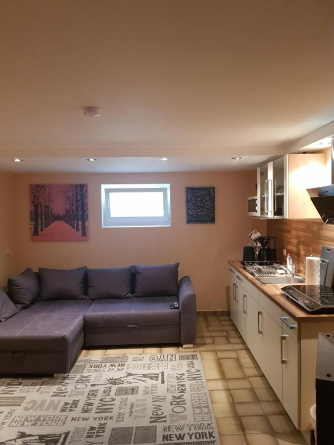Gemuetliche Ferienwohnung Mit Kamin Und Sauna! Nistertal Eksteriør bilde