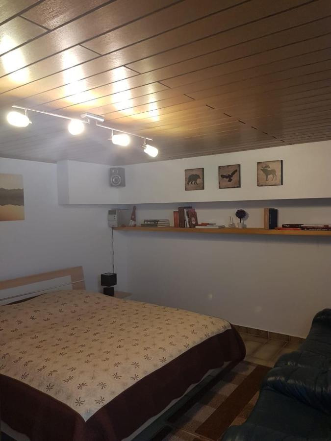 Gemuetliche Ferienwohnung Mit Kamin Und Sauna! Nistertal Eksteriør bilde